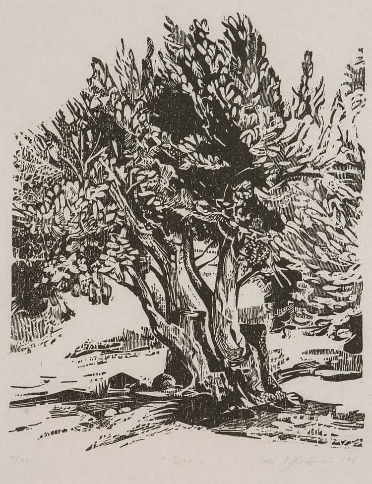 Mendrinou Anna, “Olive Tree” (1995), Woodcut